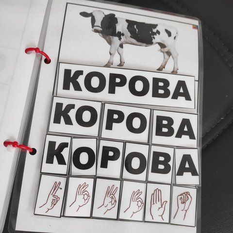 🫰✌️Посібник з навчання дітей читати з використанням дактильної абетки: Слова з 6-и літер. ☝️🫰✌️.🔡 000121 фото